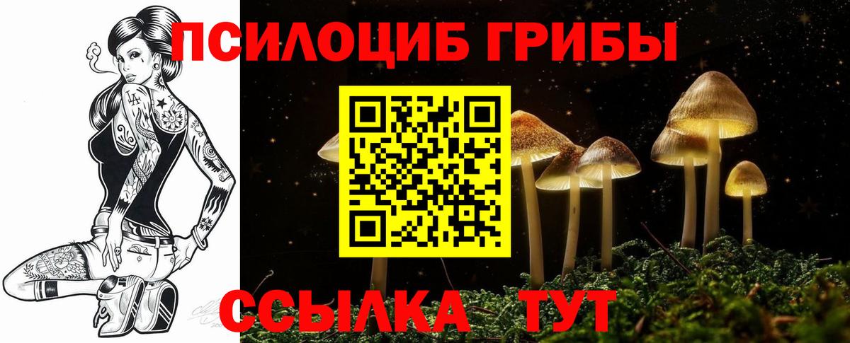 Галлюциногенные грибы Psilocybe  Вход с VPN  Галлюциногенные грибы GOLDEN TEACHER  Алексеевка 